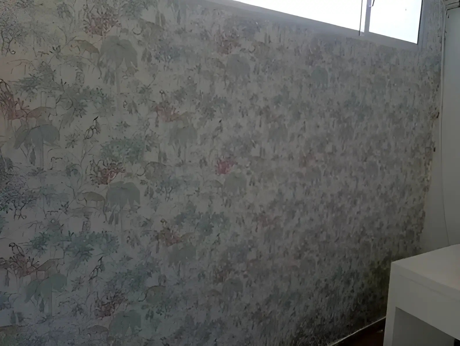 Los Pintores Ciudad Real colocando papel pintado decorativo en pared completa de habitación